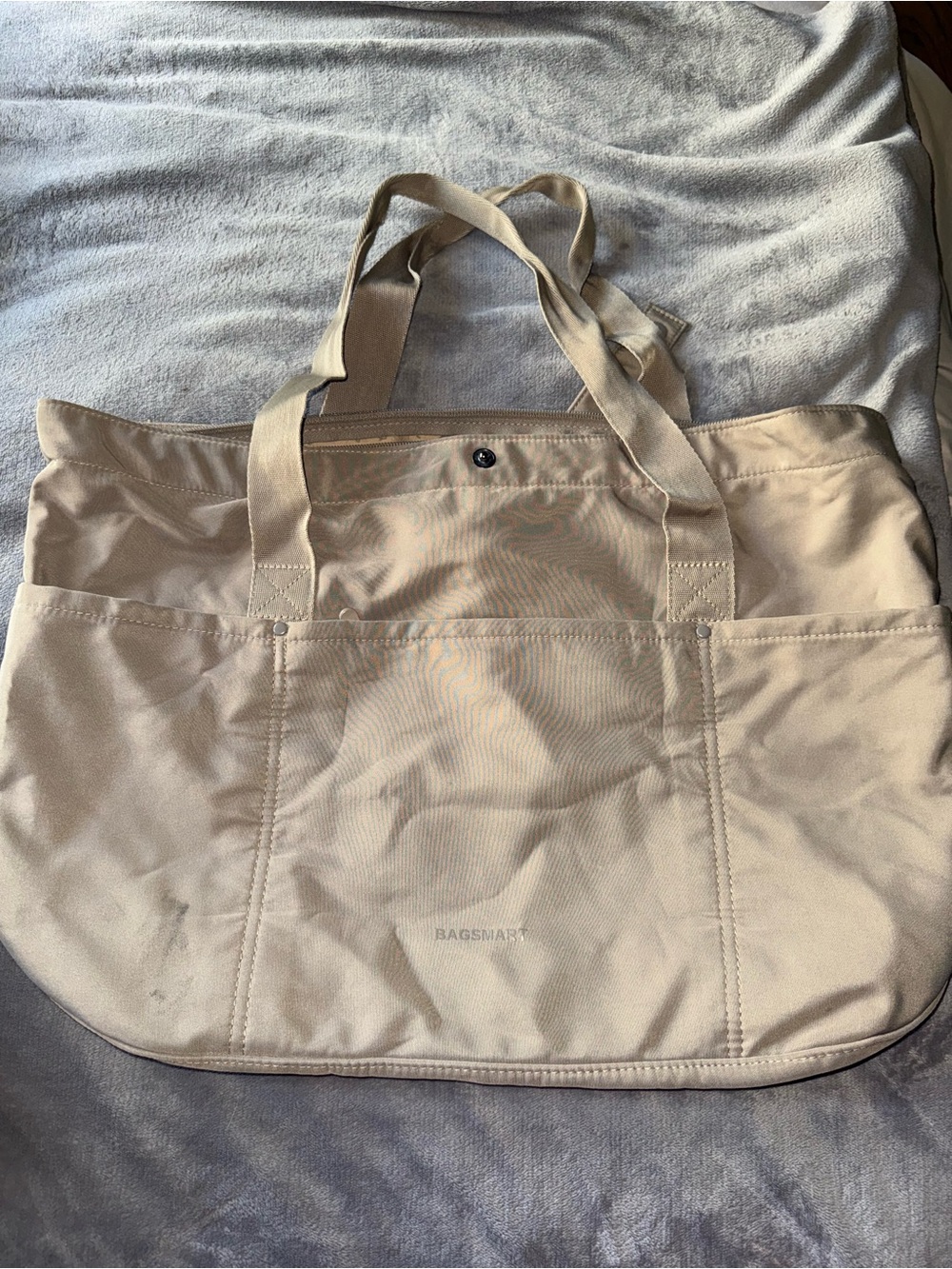 Bagsmart Tote Bag